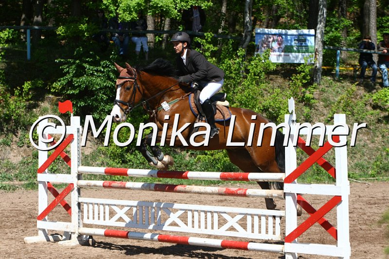 104M8465_Spring L.JPG